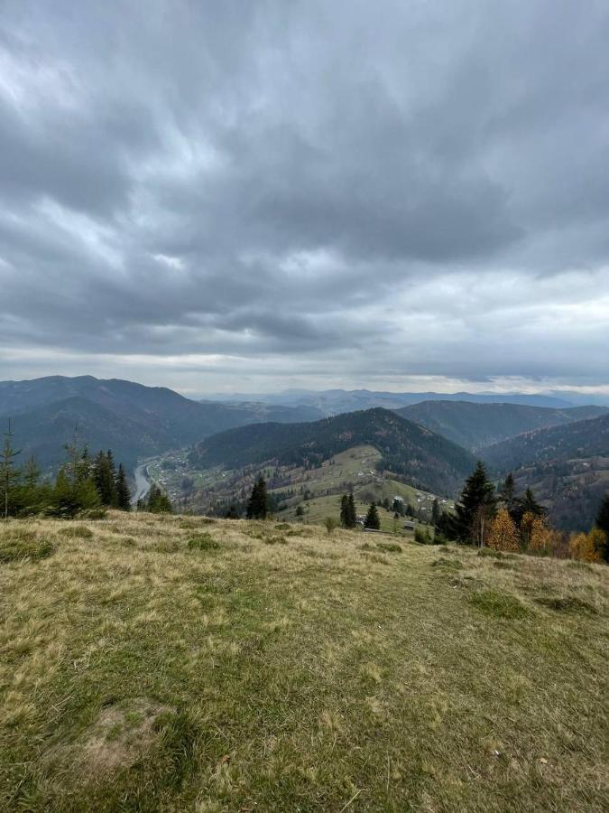 Садиба Тарниця Krivorovnya Eksteriør bilde